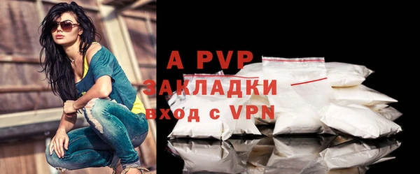 apvp Бородино