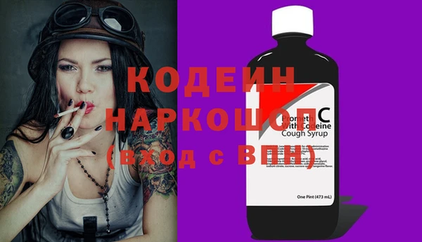 apvp Бородино