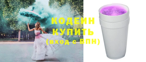 apvp Бородино