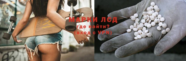 apvp Бородино