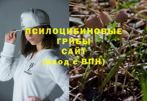 гидропоника Бугульма