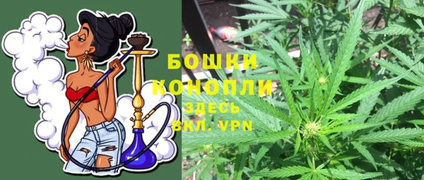 apvp Бородино