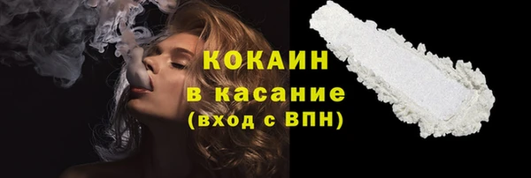 PSILOCYBIN Бронницы