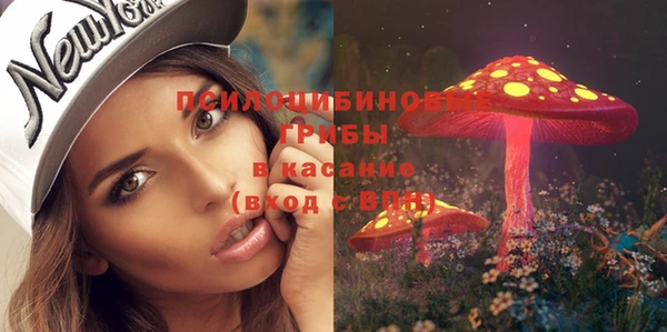apvp Бородино